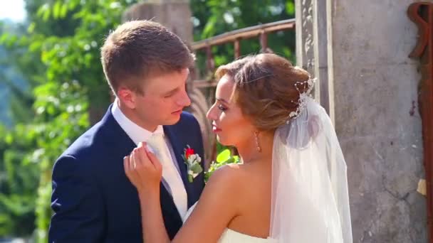 Novia y novio caucásicos el día de la boda. Solo casado, caminando en la naturaleza del día de la boda. Amantes, pareja de novias jóvenes. Pareja joven disfrutando unos de otros. Vacaciones, bodas, felicidad . — Vídeos de Stock