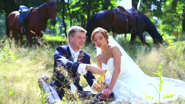 Sposi caucasici il giorno del matrimonio bevono champagne.Young coppia bere champagne in natura. Amanti, giovani sposi. Una giovane coppia che si diverte. Vacanza, matrimonio, felicità . — Video Stock