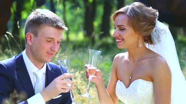 Caucasian bride and groom on the wedding day drink champagne.Young couple drinking champagne in nature. Lovers, young bridal couple. Young couple enjoying each other. Holiday, wedding, happiness. — Stock Video