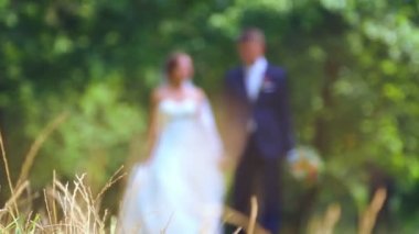 Beyaz gelin ve Damat Düğün gününde. Sadece evli, düğün günü doğa üzerinde yürüme. Sevgili genç gelin çift. Genç çift birbirlerine zevk. Tatil, düğün, mutluluk.