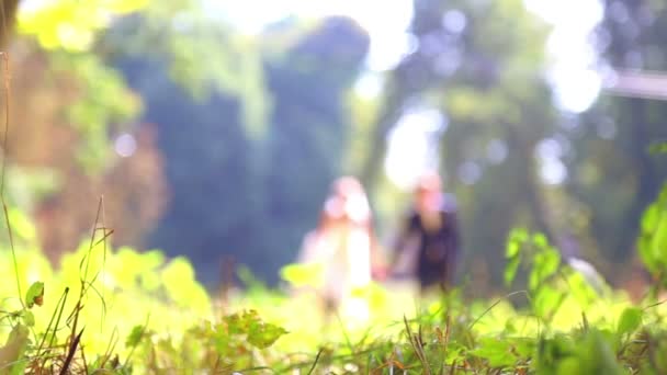 Sposi caucasici il giorno del matrimonio. Appena sposati, camminando sulla natura del giorno del matrimonio. Amanti, giovani sposi. Una giovane coppia che si diverte. Vacanza, matrimonio, felicità . — Video Stock