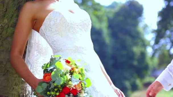 Caucasian bride and groom on the wedding day. Just Married, walking on the nature of the wedding day. Lovers, young bridal couple. Young couple enjoying each other. Holiday, wedding, happiness. — Stock Video