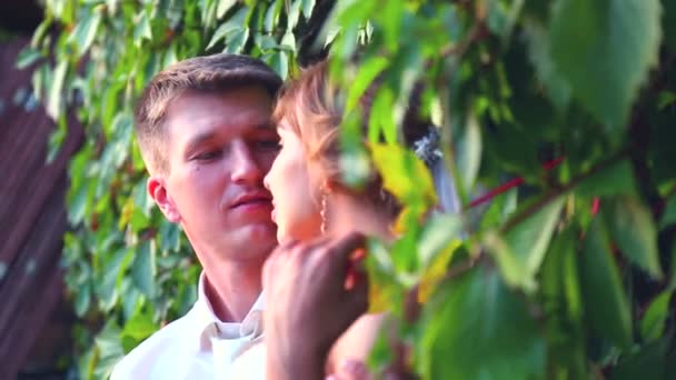 Caucasian bride and groom on the wedding day. Just Married, walking on the nature of the wedding day. Lovers, young bridal couple. Young couple enjoying each other. Holiday, wedding, happiness. — Stock Video