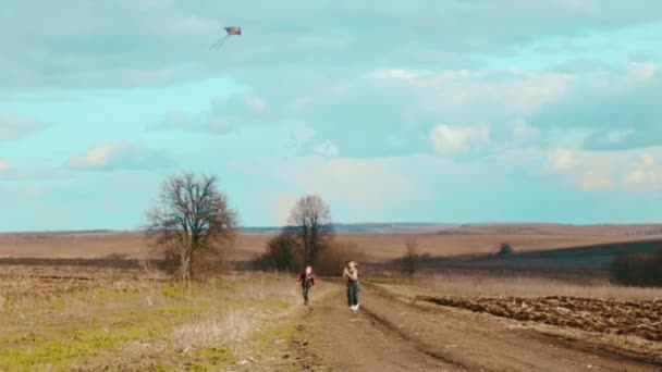 Chicos caucásicos volando una cometa. Niños jugando en la naturaleza con una cometa. Dos hermanos manejan una cometa . — Vídeos de Stock