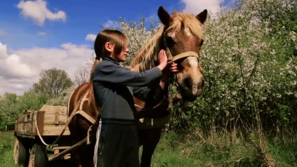 Um adolescente caucasiano com um cavalo na natureza. Criança rural com um cavalo de estimação favorito. O menino cuida de seu animal de estimação, um cavalo favorito. Pessoas, natureza, animais . — Vídeo de Stock