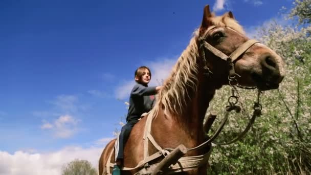 Niño adolescente caucásico con un caballo en la naturaleza. Niño rural con un caballo de compañía favorito. El niño cuida de su mascota, un caballo favorito. Personas, naturaleza, animales . — Vídeo de stock