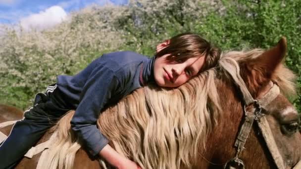 Caucasian boy teenager with a horse on nature. Rural child with a favorite pet horse. The boy takes care of his pet, a favorite horse. People, nature, animals. — Stock Video