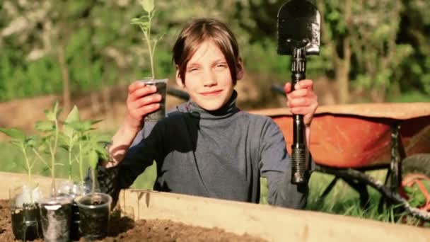 Beyaz çocuk bahçesinde bir yatakta. Çocuk bahar dikim yapmaktadır. Çocuk genç doğa yatağın yanında. Çocuk onun hands.Organic tarım bir fide ile. — Stok video