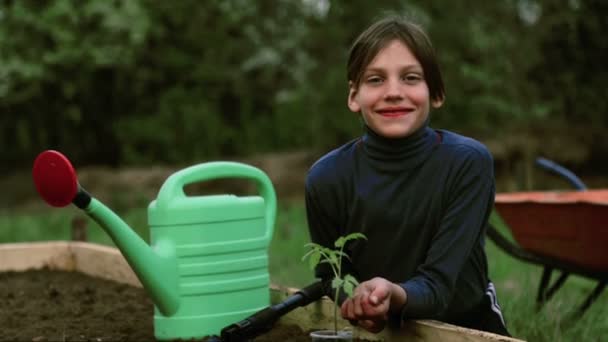 Niño caucásico en una cama en el jardín.El niño se dedica a la siembra de primavera. Niño adolescente en la naturaleza cerca de la cama. Niño con una plántula en las manos.Agricultura ecológica . — Vídeos de Stock