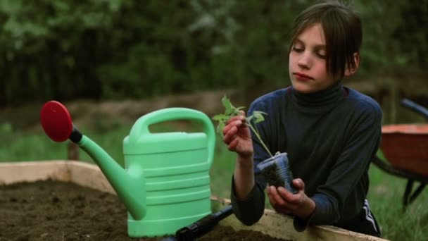 Niño caucásico en una cama en el jardín.El niño se dedica a la siembra de primavera. Niño adolescente en la naturaleza cerca de la cama. Niño con una plántula en las manos.Agricultura ecológica . — Vídeo de stock