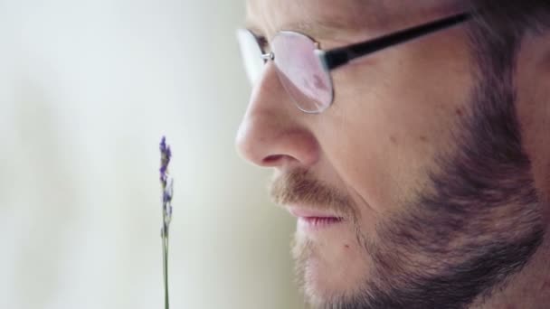 Portret van een man met een close up van een takje van lavendel. Kaukasische, stijlvolle jonge man ruiken een bloem. — Stockvideo