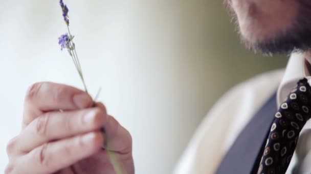 Portret van een man met een close up van een takje van lavendel. Kaukasische, stijlvolle jonge man ruiken een bloem. — Stockvideo