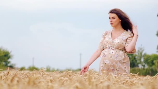 Joven mujer embarazada hermosa en un campo de trigo. Mujer embarazada caucásica en un campo de trigo. Retrato de una mujer embarazada sobre la naturaleza en el campo . — Vídeos de Stock