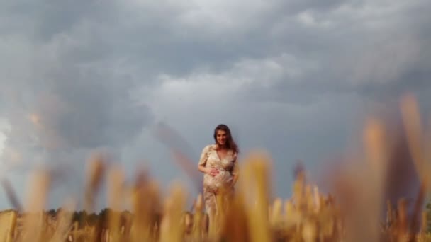 Joven mujer embarazada hermosa en un campo de trigo. Mujer embarazada caucásica en un campo de trigo. Retrato de una mujer embarazada sobre la naturaleza en el campo . — Vídeos de Stock