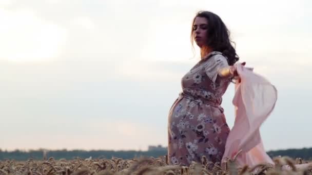 Jeune belle femme enceinte dans un champ de blé. Femme enceinte blanche dans un champ de blé. Portrait d'une femme enceinte sur la nature dans le domaine . — Video