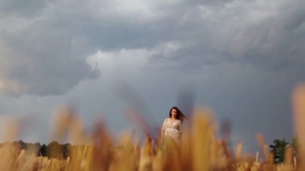 Joven mujer embarazada hermosa en un campo de trigo. Mujer embarazada caucásica en un campo de trigo. Retrato de una mujer embarazada sobre la naturaleza en el campo . — Vídeo de stock