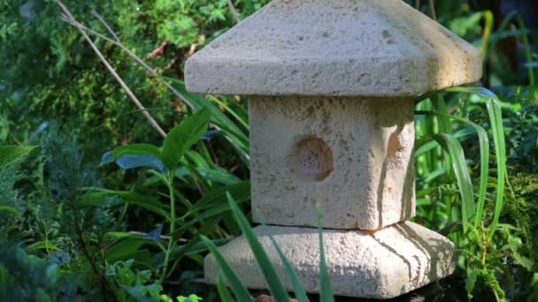 Una linterna de piedra japonesa en la vegetación del parque. Jardín de piedra linterna japonesa . — Vídeo de stock