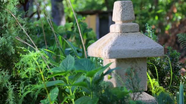 Una linterna de piedra japonesa en la vegetación del parque. Jardín de piedra linterna japonesa . — Vídeos de Stock