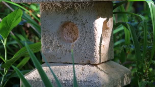 Una linterna de piedra japonesa en la vegetación del parque. Jardín de piedra linterna japonesa . — Vídeos de Stock