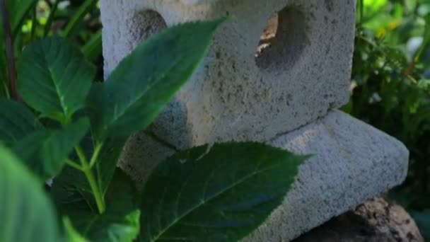 Een Japanse stenen lantaarn in het groen van het park. Tuin stenen Japans lantaarn. — Stockvideo