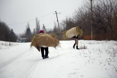 Kışın kırsalda saman yığınıyla yürüyen kışlık elbiseli bir kadın. Kışın omzunda saman demeti olan yaşlı bir köylü kadının portresi..