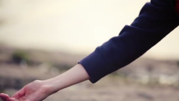 Niño isleduetsya naturaleza de la cámara. La chica viaja con una cámara . — Vídeos de Stock