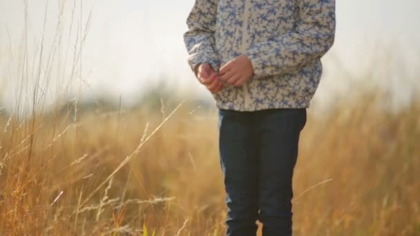 Een kind in een veld op het platteland. Portret van een meisje close-up. — Stockvideo