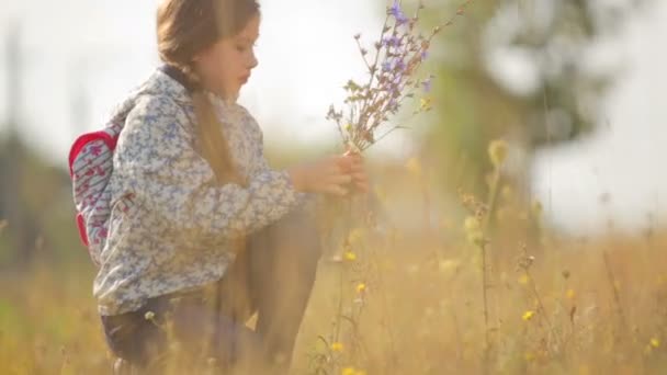 Un niño en un campo en el campo. Retrato de una chica de cerca . — Vídeos de Stock