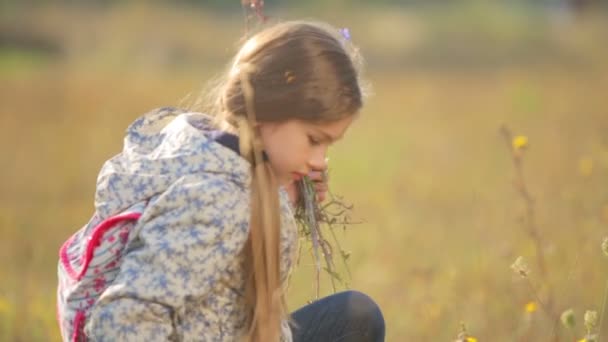 Un niño en un campo en el campo. Retrato de una chica de cerca . — Vídeo de stock