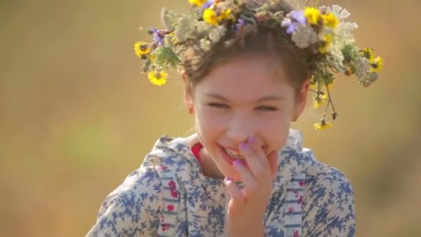 A child in a field in the countryside. Portrait of a girl close up. — Stock Video