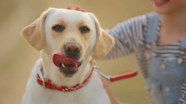 Een kind met zijn huisdier hond buiten. Portret van het meisje kind met haar hond buiten het huis. Meisje op een lopen met zijn hond. — Stockvideo