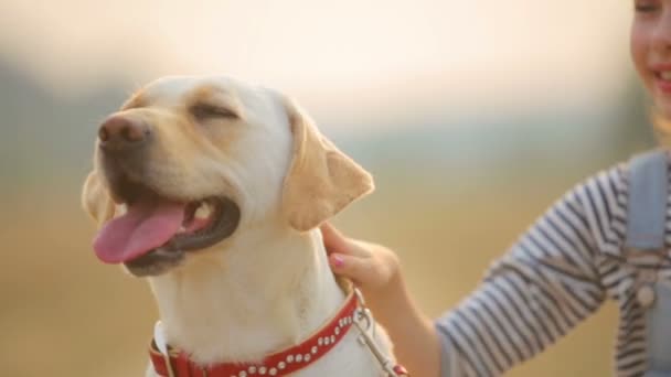 Ein Kind mit seinem Hund im Freien. Porträt des Mädchens mit ihrem Hund vor dem Haus. Mädchen geht mit Hund spazieren. — Stockvideo