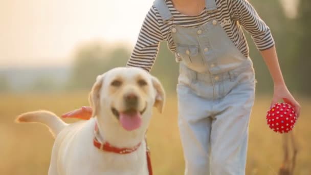 Açık havada onun köpeği olan bir çocuk. Onu köpek evin dışında kız çocuk portresi. Köpeğiyle bir yürüyüşte kız. — Stok video