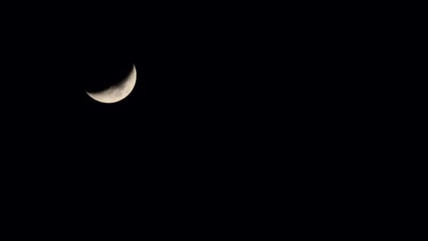 불완전 한 달 상승 모달입니다. 왁 싱 초승달 달 하늘을 가로질러 이동 합니다. 시간 경과 하프 문 및 빠른 슈퍼 문 전에 흐르는 구름. — 비디오