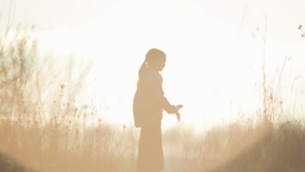 Ragazzo felice che gioca con un uccellino. Il bambino giocherellone con un giocattolo all'alba. Silhouette di un bambino con un giocattolo in natura . — Video Stock