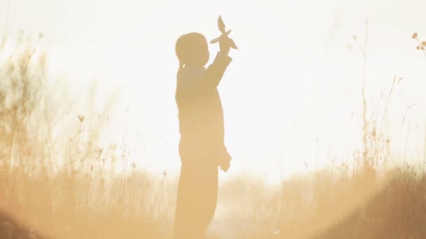 Rapaz feliz a brincar com um pássaro de brincar. A criança brincalhona com um brinquedo ao nascer do sol. Silhueta de uma criança com um brinquedo na natureza . — Vídeo de Stock