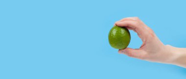 Elinde olgun sulu limon, mavi arka planda izole edilmiş. Sağlıklı beslenme ve beslenme kavramı