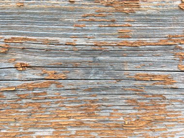 Grunge 'un geçmişi. Eski ahşap bir zeminde boya soyuyordu. Klasik ahşap arka plan. Eski Ağaç dokusu