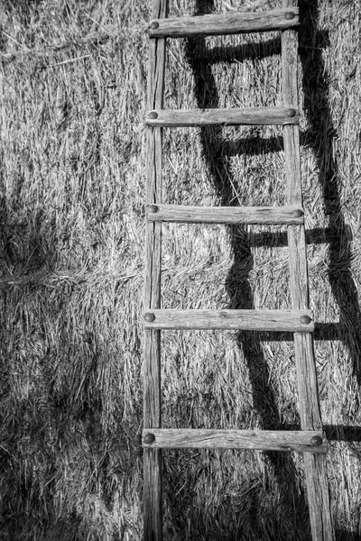 Лестницы, опирающиеся на тюки сена — стоковое фото
