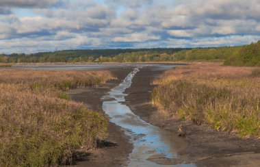 Güzel bulutlu gökyüzü. Gündüz vakti göller boyunca ve ormanda yürürler. Kiev bölgesi. Ukrayna. 18 Ekim 2020
