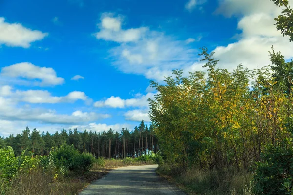 Vacker Molnig Himmel Dagspromenad Längs Sjöarna Och Skogen Kievregionen Ukraina — Stockfoto