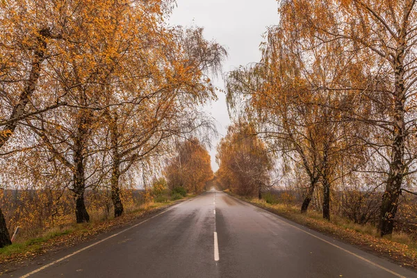 Złota Jesień Jesienne Drogi Ukrainy Region Kijowa Października 2020 — Zdjęcie stockowe