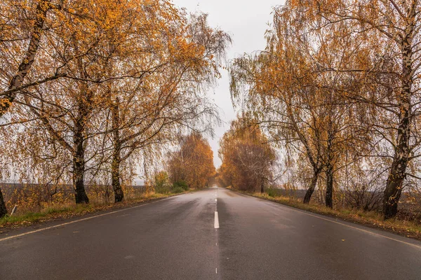 Χρυσό Φθινόπωρο Φθινοπωρινούς Δρόμους Της Ουκρανίας Περιφέρεια Κιέβου Οκτωβρίου 2020 — Φωτογραφία Αρχείου