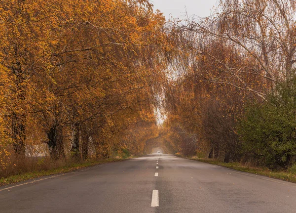 Χρυσό Φθινόπωρο Φθινοπωρινούς Δρόμους Της Ουκρανίας Περιφέρεια Κιέβου Οκτωβρίου 2020 — Φωτογραφία Αρχείου