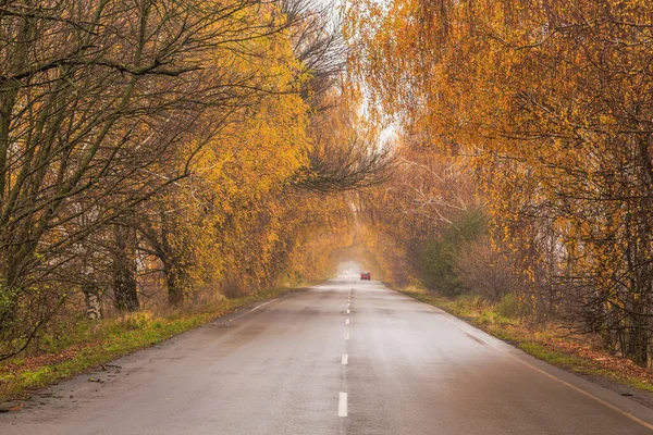 Golden Autumn Autumn Roads Ukraine Kiev Region October 2020 — Stock Photo, Image