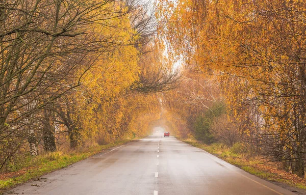 Golden autumn. Autumn roads of Ukraine. Kiev region. October 31, 2020