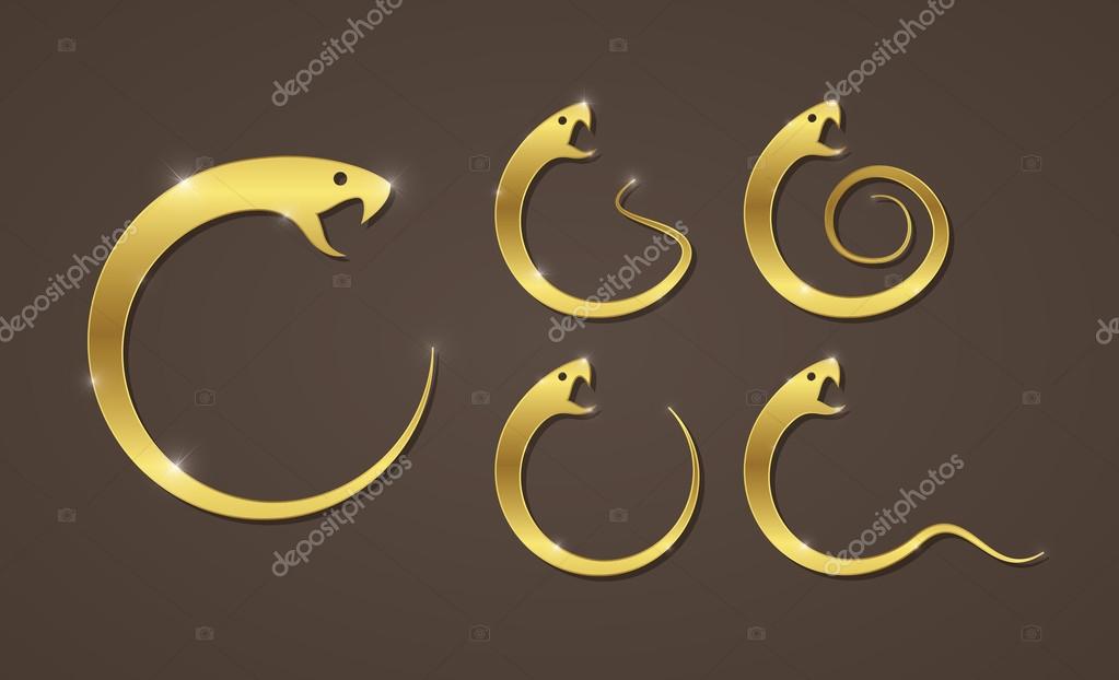 Vector illustration of golden snake, app icon, business logo