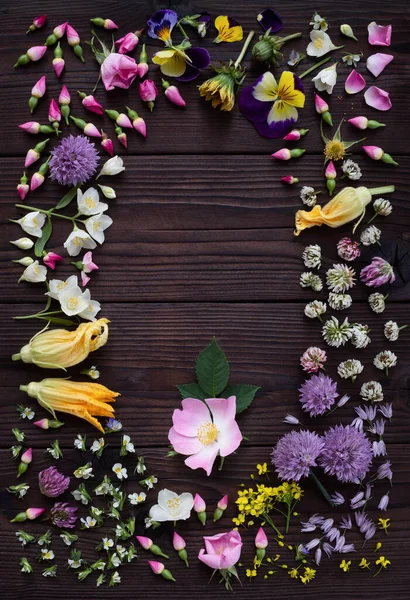 Edible plant and flowers on dark wooden background. Flower pattern. Composition with colorful flowers for cooking and herbal medicine. Creative layout with copy space for text. Top view.