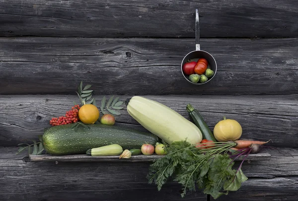 Raccolta di verdure fresche — Foto Stock