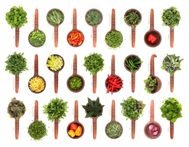 Fresh herbs and spices clipart